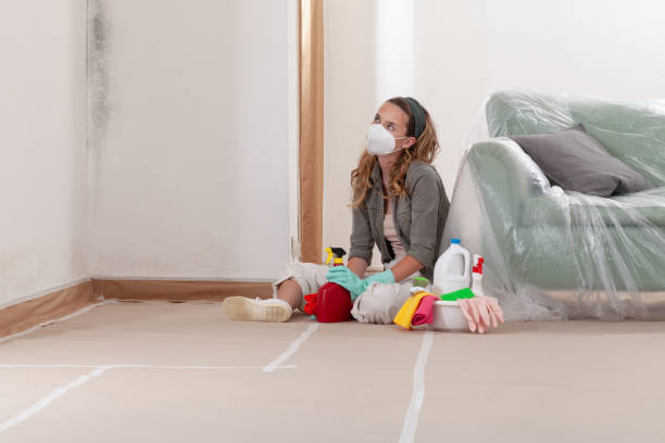 Reliable Mold Remediation contractor in Harrellsville, NC by WQB Mold Removal